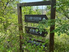 -大岭沟猕猴桃谷风景区