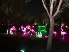 -廊坊固安福朋喜来登酒店