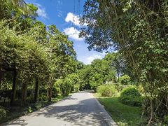 -中国科学院西双版纳热带植物园