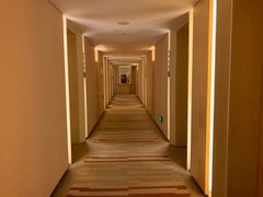 -电谷雅阁国际大酒店