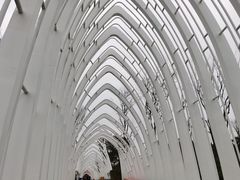 -白鹭湾湿地公园