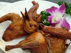 -鸽鸟轩(石岐店)