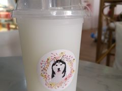 -Husky Go! 哈士奇体验馆·宠物咖啡厅狗咖