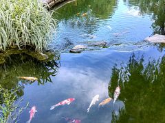 -三里河公园