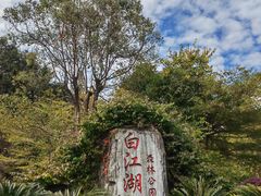 -广州白江湖森林公园