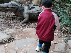 -杭州少年儿童公园