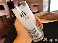 茴香酒-Efes Turkish & Mediterranean Cuisine 艾菲斯餐厅(陆家嘴店)