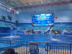 -多彩贵州城极地海洋世界