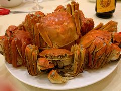 清蒸大闸蟹-王宝和酒家(黄浦店)