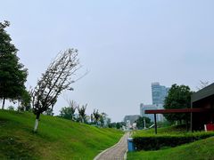 -桂溪生态公园