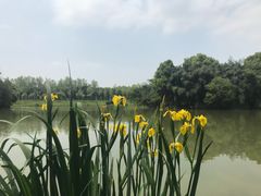 -艾溪湖湿地公园