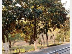 -大蜀山国家森林公园
