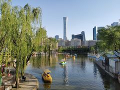 -团结湖公园