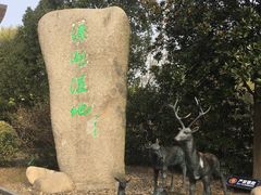 -溱湖国家湿地公园