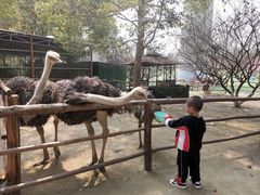 -秀丽东方