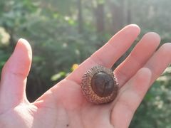 -五女峰国家森林公园