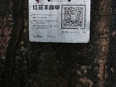 -柳侯公园