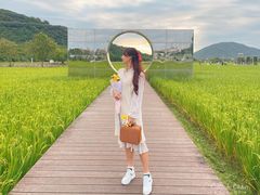 -艾米稻香小镇