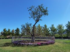 -北京张裕爱斐堡酒庄