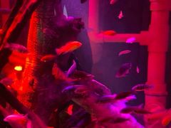 -沈阳海洋探索中心