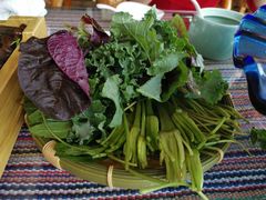 -慢丽江·云南野生菌土鸡锅(付家庄店)