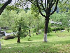 -东莞植物园