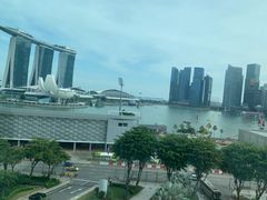 -新加坡文华东方酒店