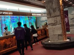 -恒坤北纬42度温泉洗浴(公园路店)