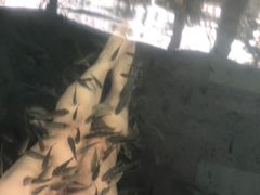 -天目湖御水温泉·度假酒店