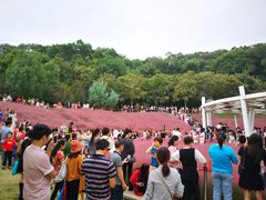 -牛岗山公园