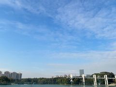 -东莞植物园