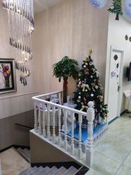 -紫洁俪方（北京）医疗美容