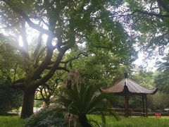-上海兴国宾馆香樟园西餐厅