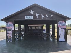 -盐城丹顶鹤湿地生态旅游区