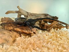 -长沙友阿奥特莱斯