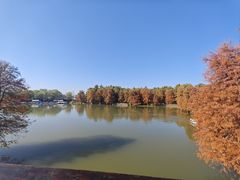 -青山湖景区