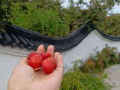 -威海华夏城景区