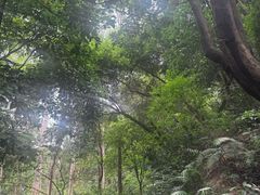-火炉山森林公园