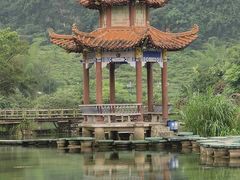 -靖西鹅泉风景区