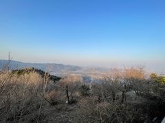 -北京西山国家森林公园