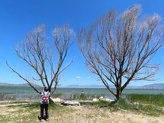 -观澜小洱海