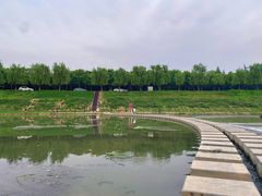 -洨河生态公园