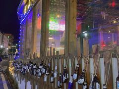 -西涌国际滨海旅游区