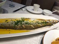 -颂福楼·南京菜(定淮门店)