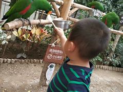 -南宫五洲植物乐园