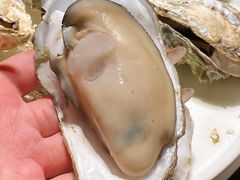 -张家卫·阳江菜·小海鲜(肥婆湾桥店)