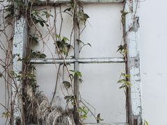 -可可露咖啡店(大东店)