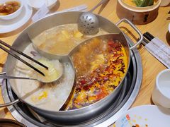 -青瓷火锅料理(西单大悦城店)