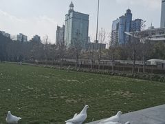 -上海博物馆(人民广场馆)