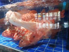 -粤珍轩.创始店.始于2001(含光门店)